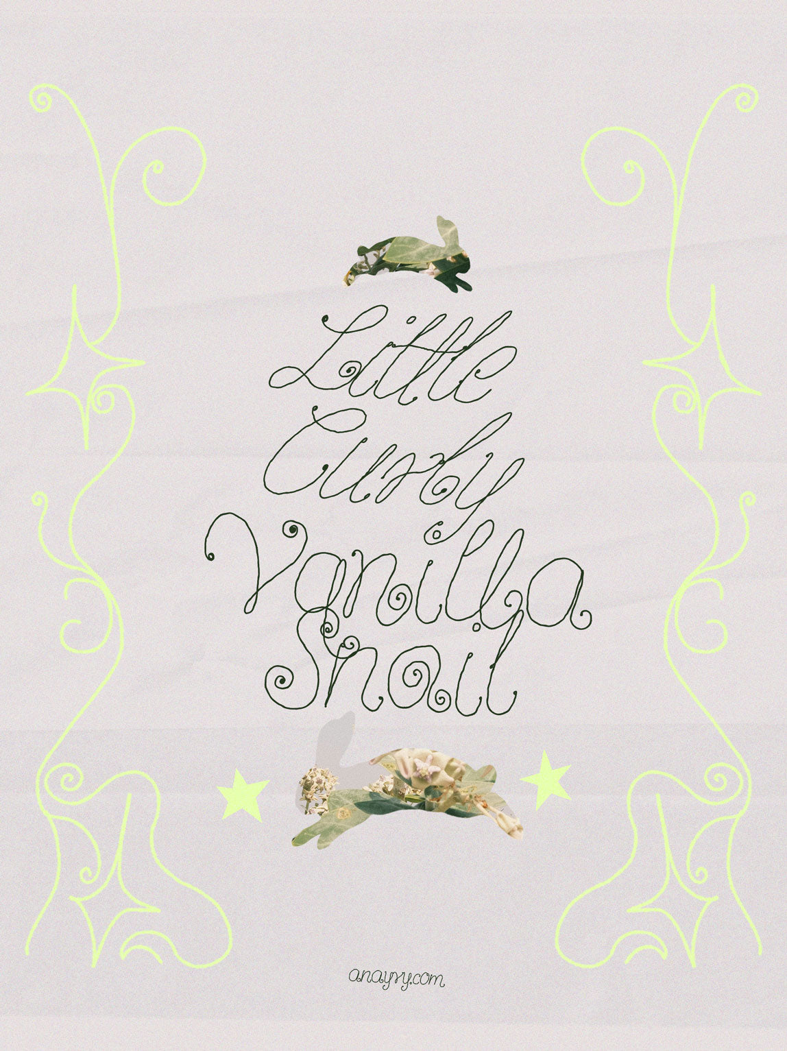 VANILLA SNAIL | Curly Script Font – ANA & YVY