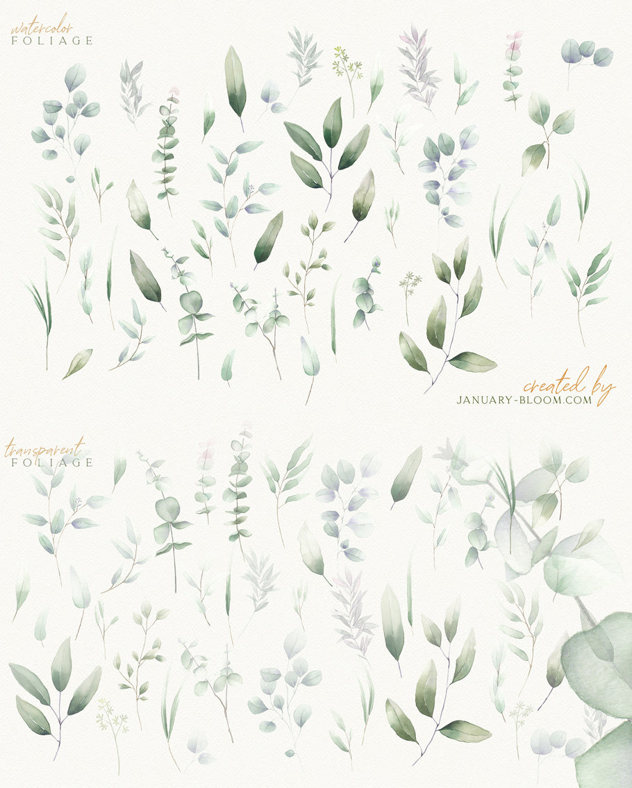 January Bloom | Watercolour Foliage & Golden Leaves - ANA & YVY